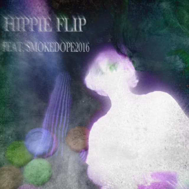 Album cover art for Hippie Flip