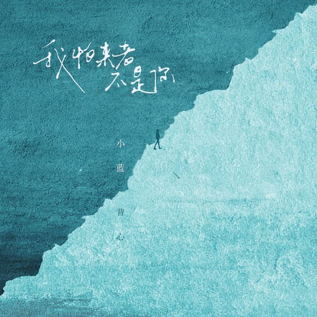Album cover art for 我怕来者不是你