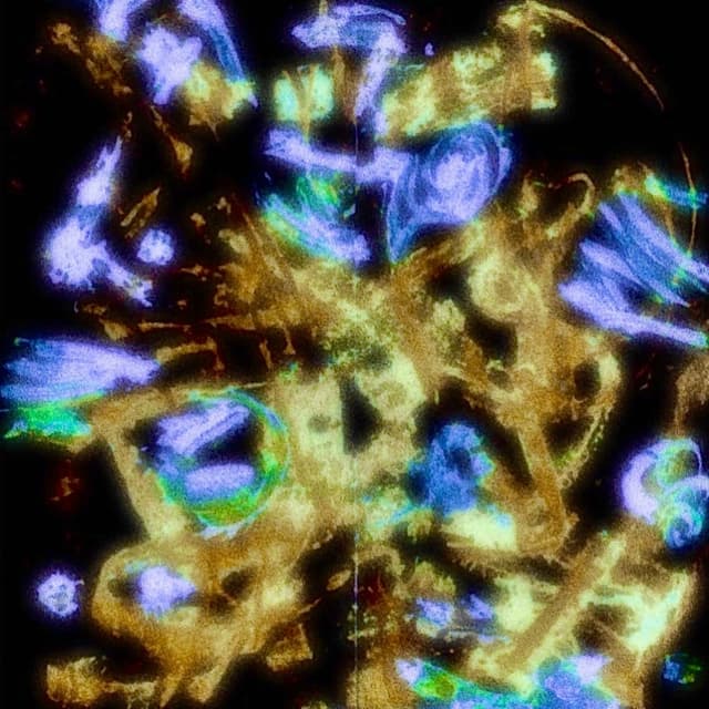 Album cover art for Alchemy