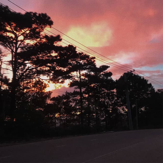 Album cover art for We Think Too Much
