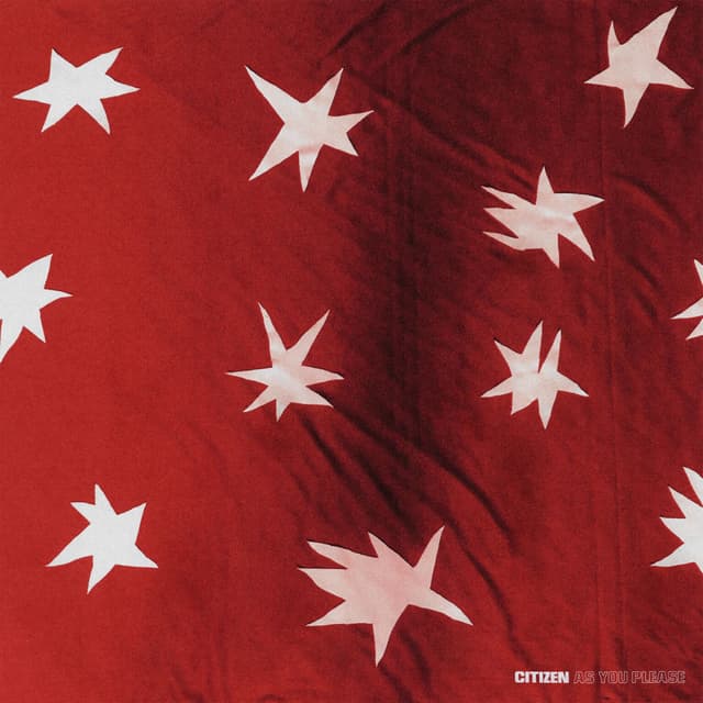 Album cover art for As You Please