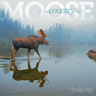 Album cover art for Moose Country