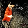 Cuando quieras quiero