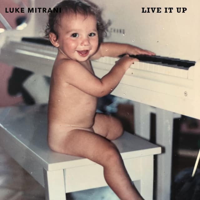 Album cover art for Live It Up
