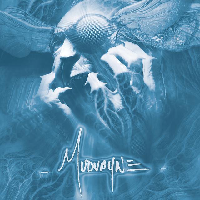 Album cover art for Mudvayne