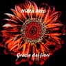 Grazie dei fiori