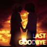 Last Goodbye