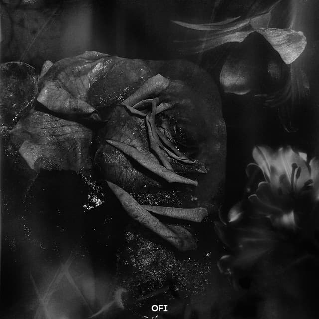 Album cover art for Bloom