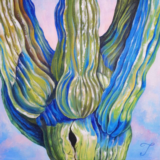 Album cover art for BABY CACTUS