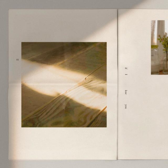 Album cover art for If I Lose You