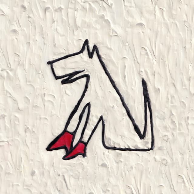 Album cover art for Cani