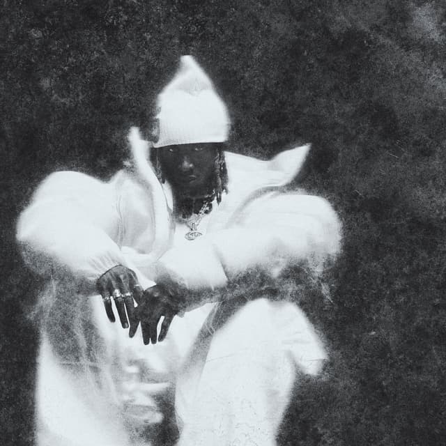 Album cover art for RIEN NE GUÉRIT