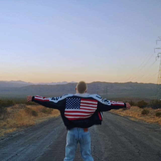 Album cover art for The American Dream