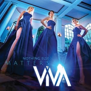 Album cover art for Nothing Else Matters