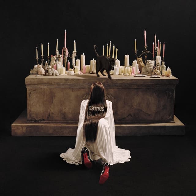 Album cover art for ESTRUS