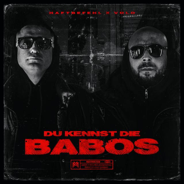 Album cover art for DU KENNST DIE BABOS