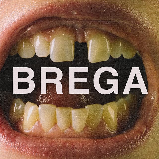 Album cover art for BREGA