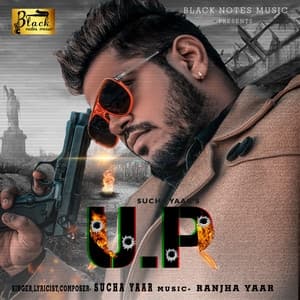 Album cover art for U.P