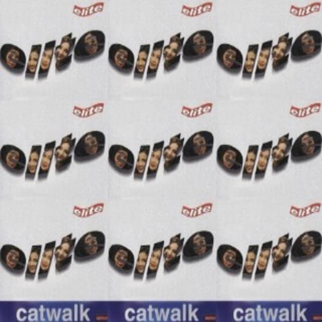 Album cover art for Catwalk