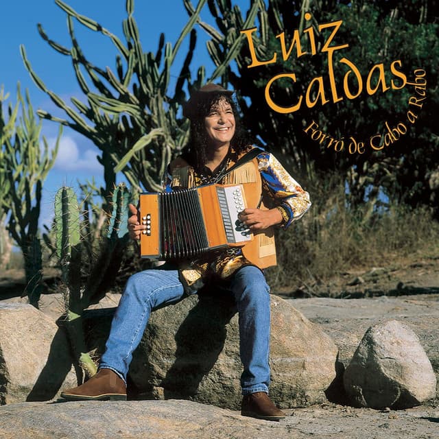 Album cover art for Forro De Cabo A Rabo