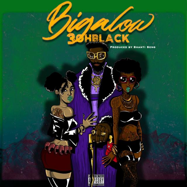 Album cover art for Bigalow