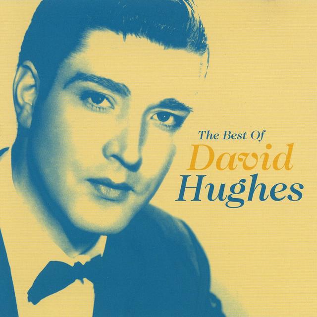 Album cover art for The Best Of David Hughes