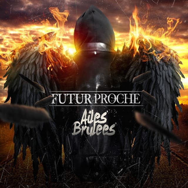 Album cover art for Ailes Brulées