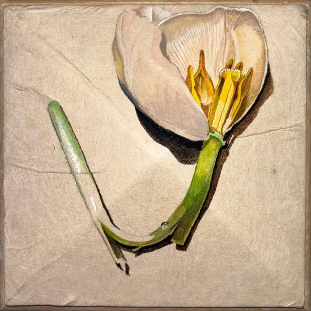 Album cover art for Nothing