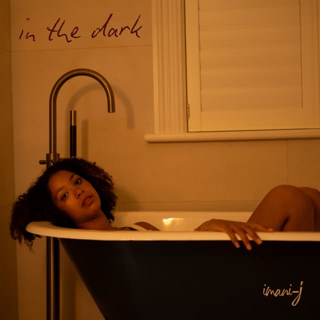 Album cover art for In The Dark