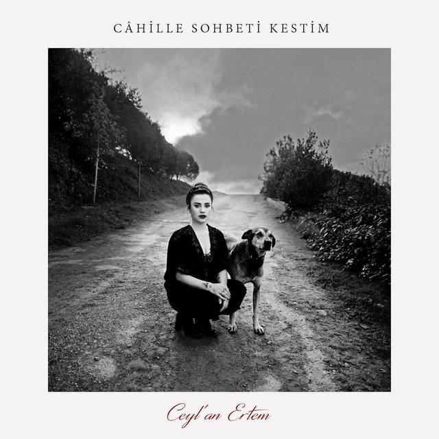 Album cover art for Câhille Sohbeti Kestim