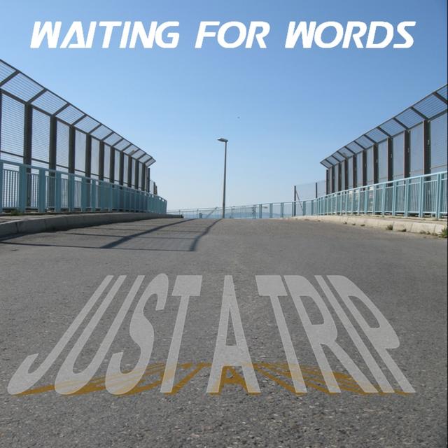 Album cover art for Just A Trip