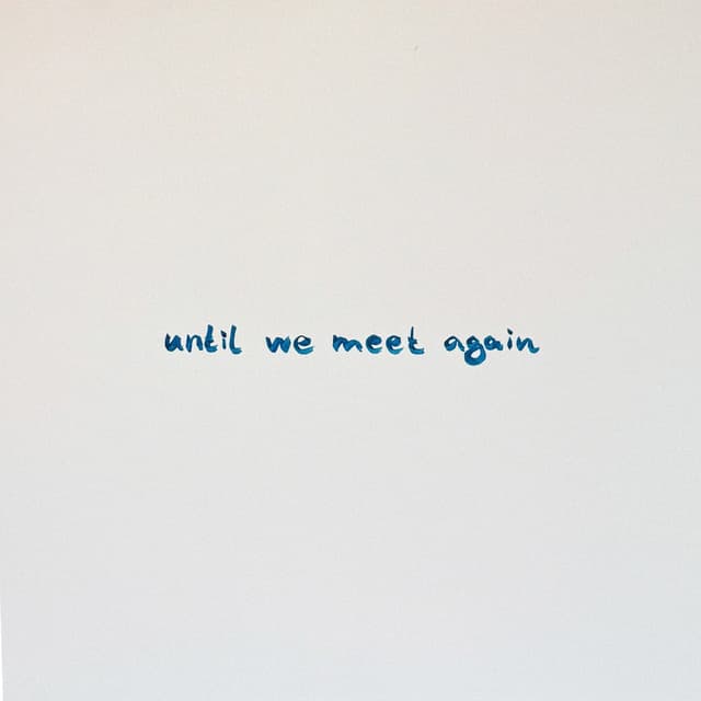 Album cover art for Until We Meet Again