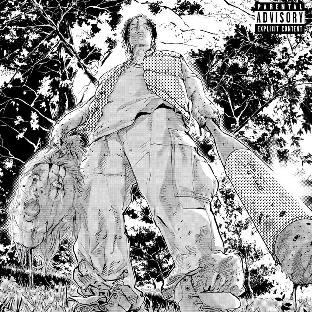 Album cover art for Born Again