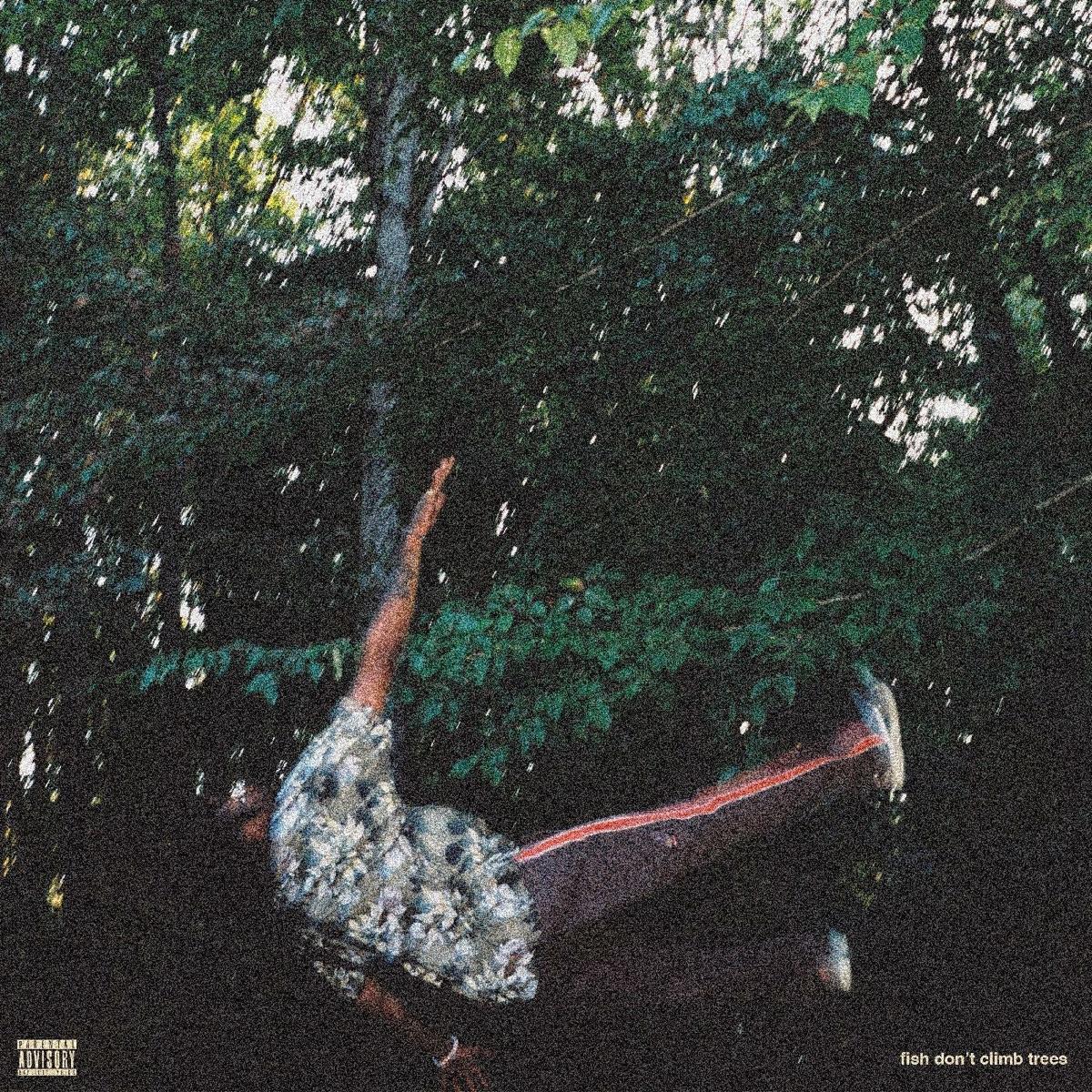 fish don’t climb trees