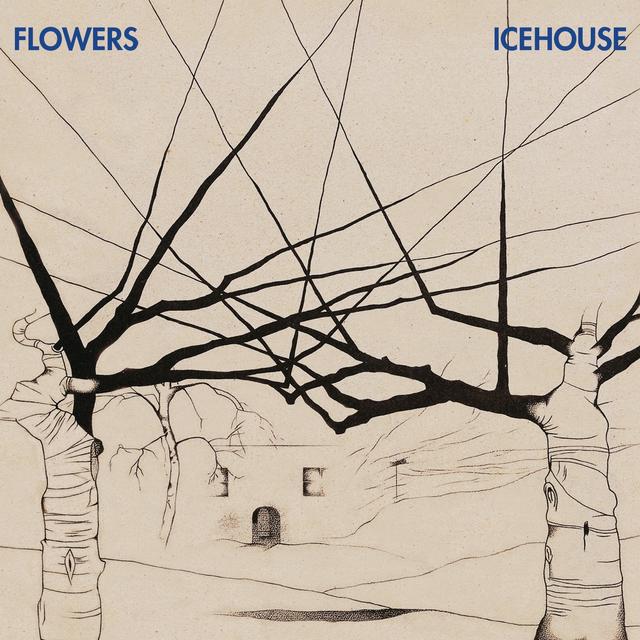 Album cover art for Icehouse