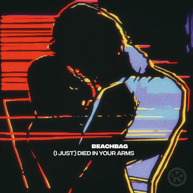 Album cover art for (I Just) Died In Your Arms