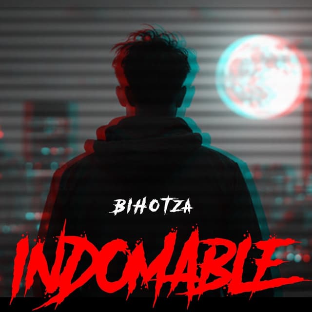Album cover art for Indomable