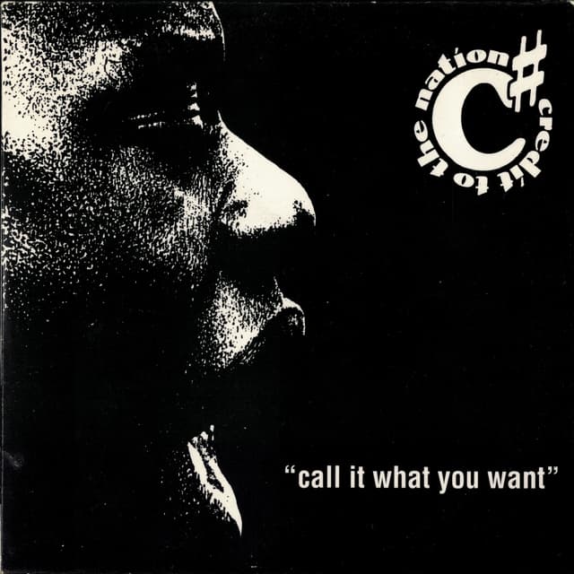 Album cover art for Call It What You Want