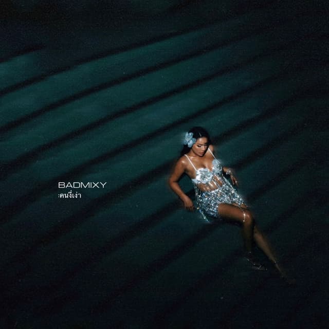 Album cover art for คนงี่เง่า