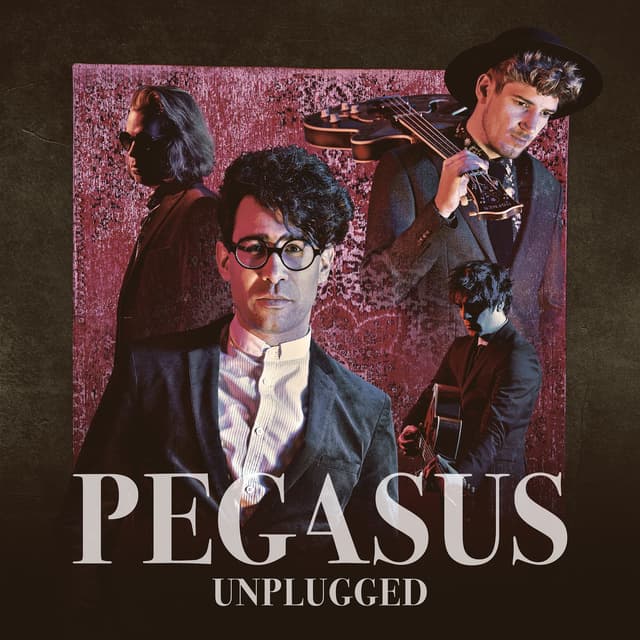 Album cover art for Unplugged