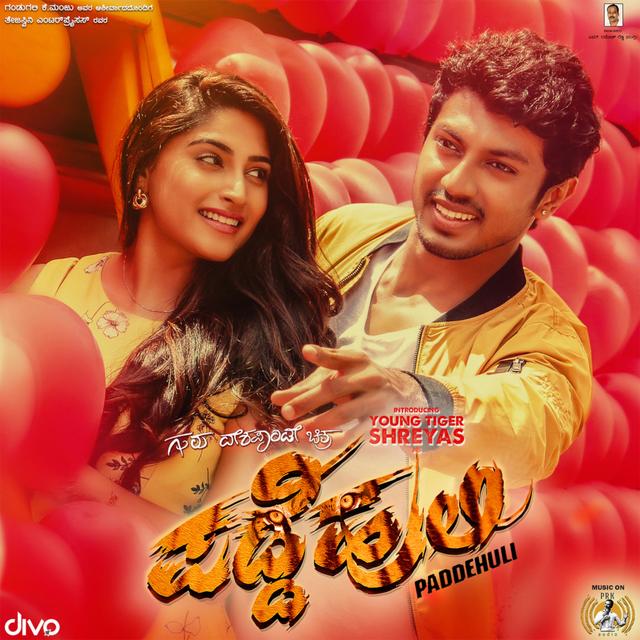 Album cover art for Padde Huli