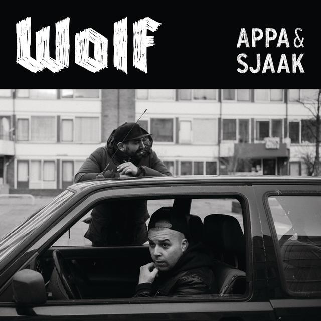 Album cover art for Wolf