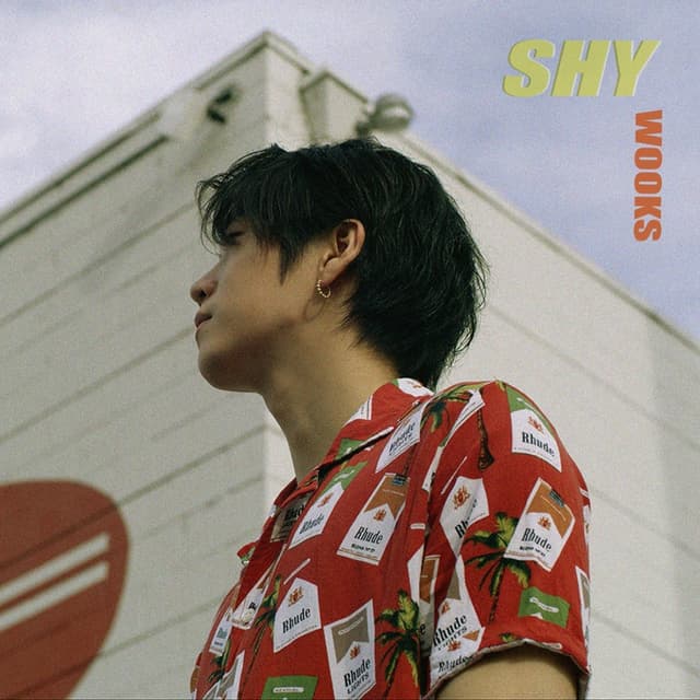 Album cover art for Shy