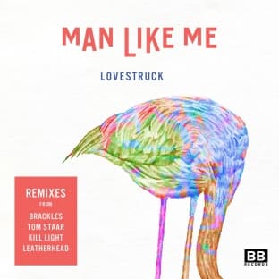 Album cover art for Lovestruck Remixes
