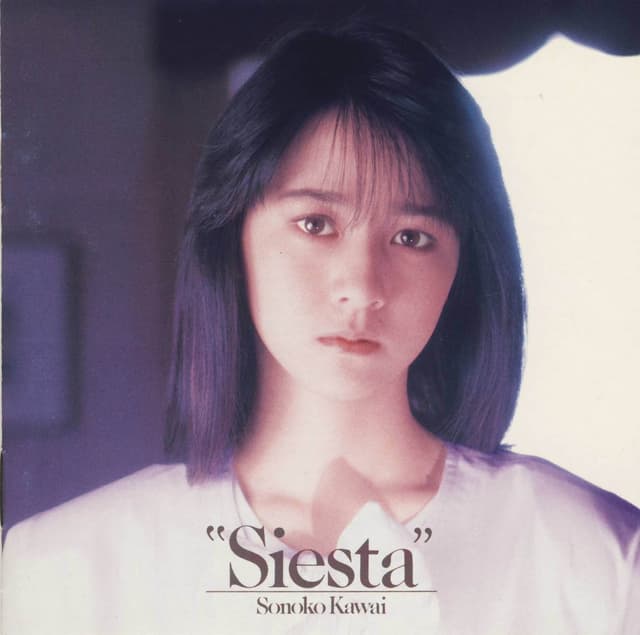 Album cover art for Siesta