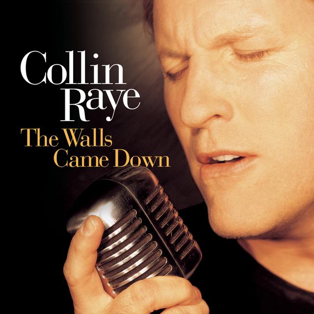 Album cover art for The Walls Came Down