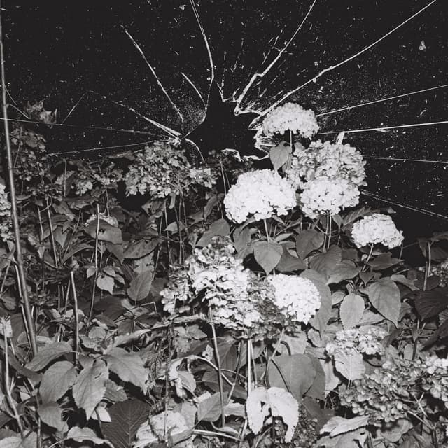 Album cover art for kontrollverlust