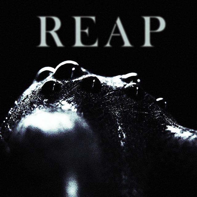 Album cover art for Reap