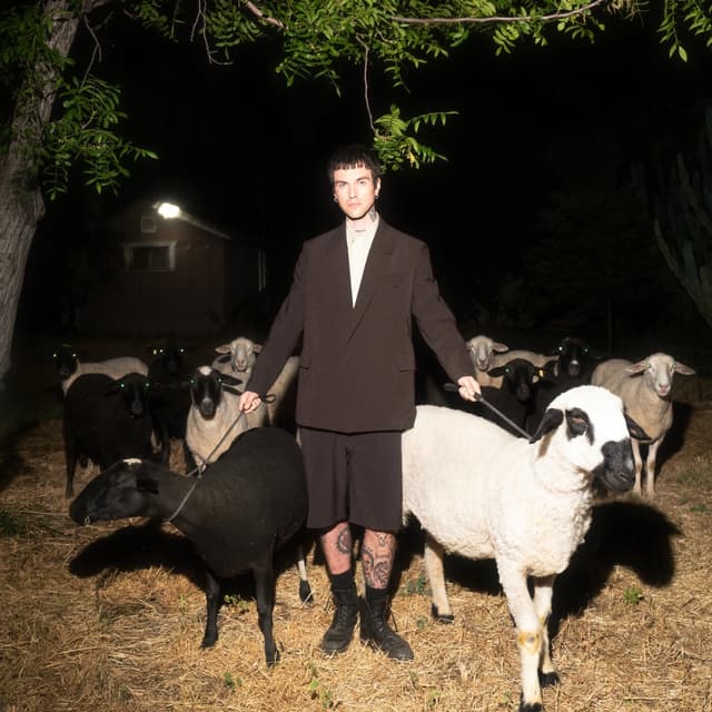 Album cover art for Chin Up, Beautiful