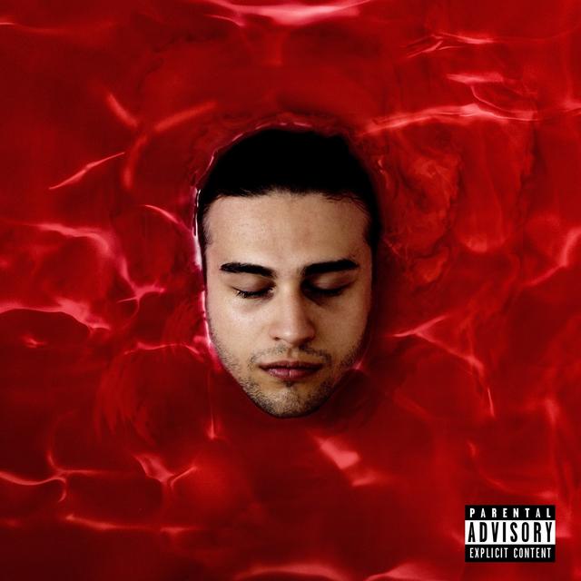 Album cover art for Ștefan IV